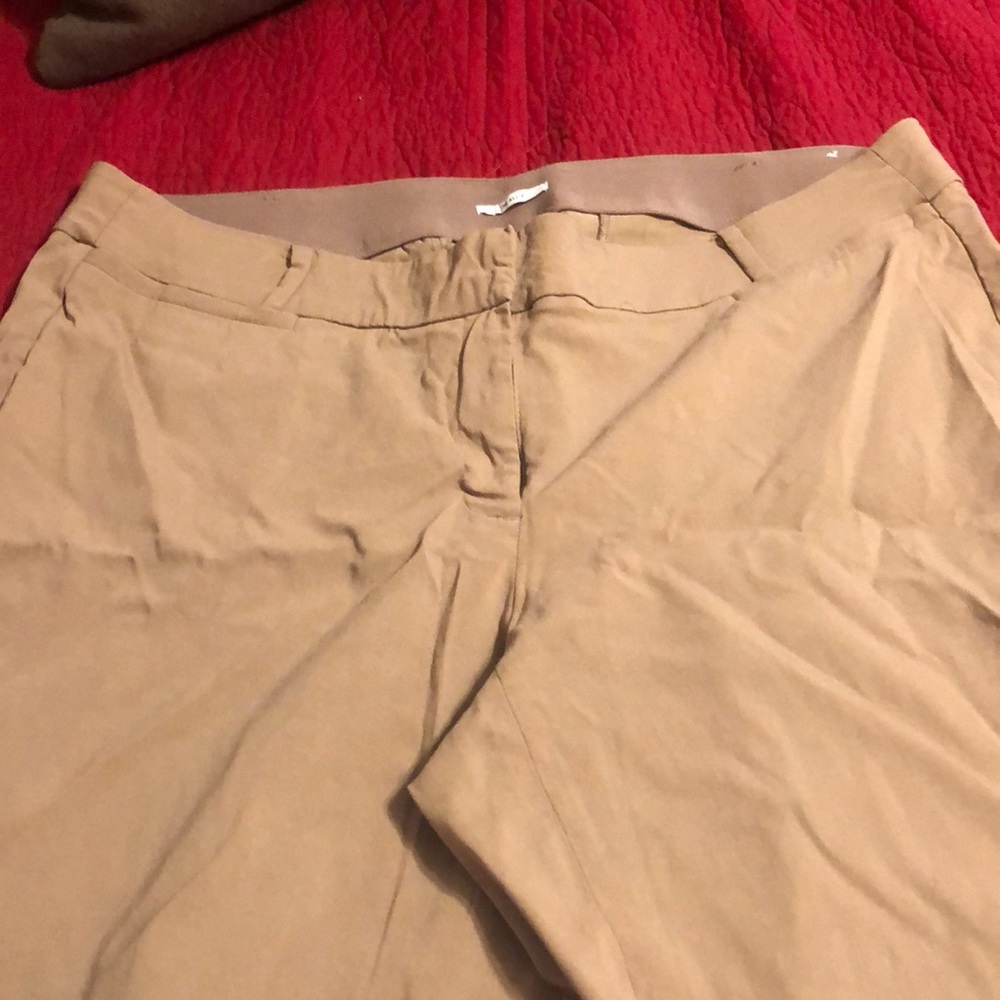 Lane Bryant Allie dress slacks